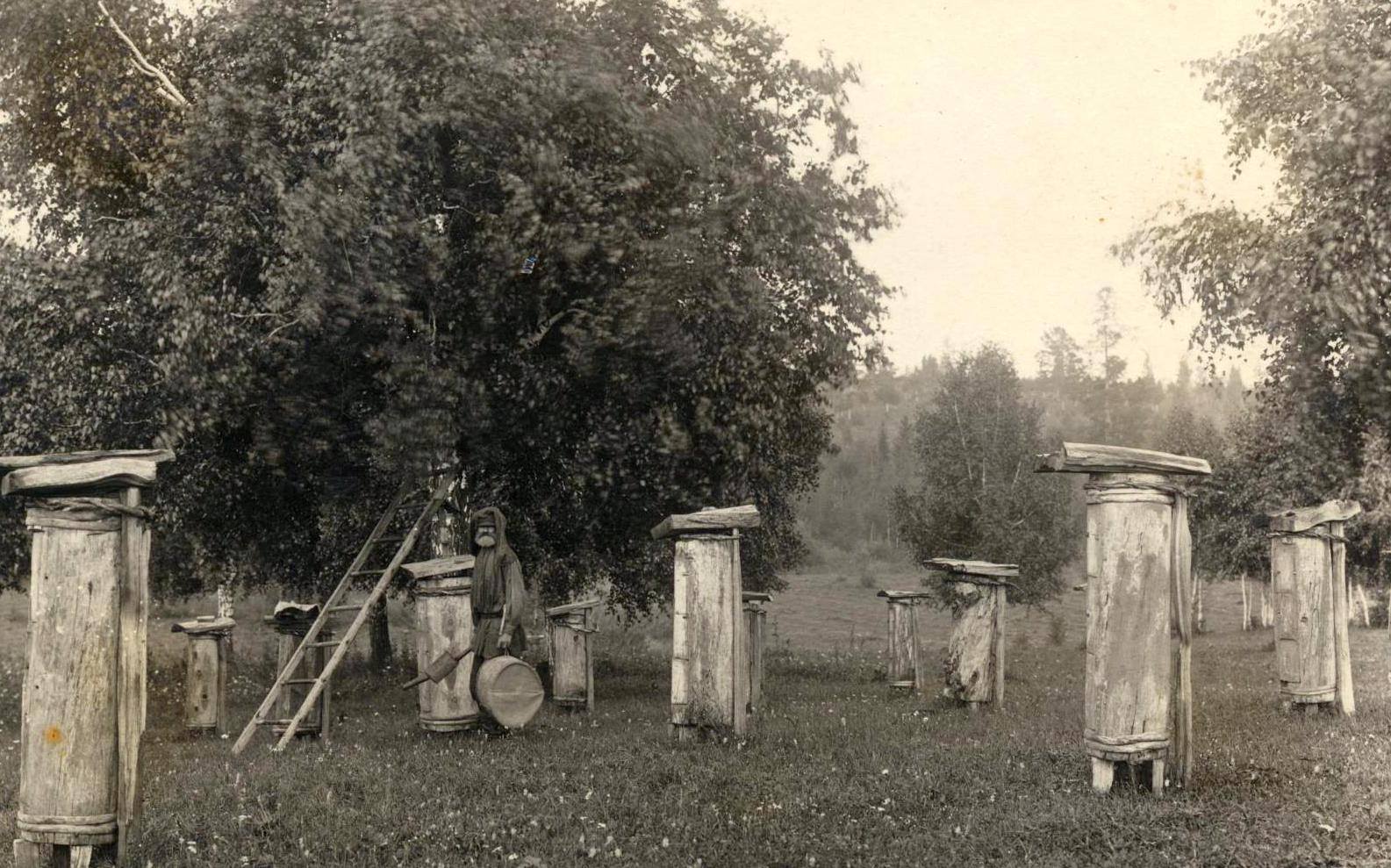 Пасека близ Иркутска 1918-1920г