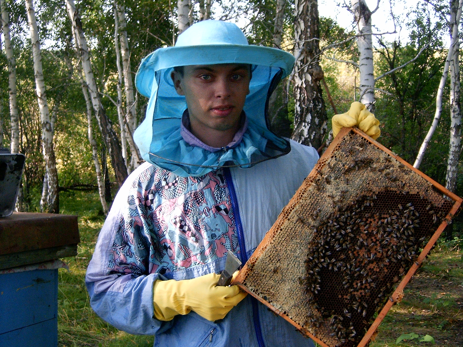 Когда собирают мед. Пасечник с медом. Пасечник на пасеке. Пасечник пчеловод. Пасечник с пчелами.